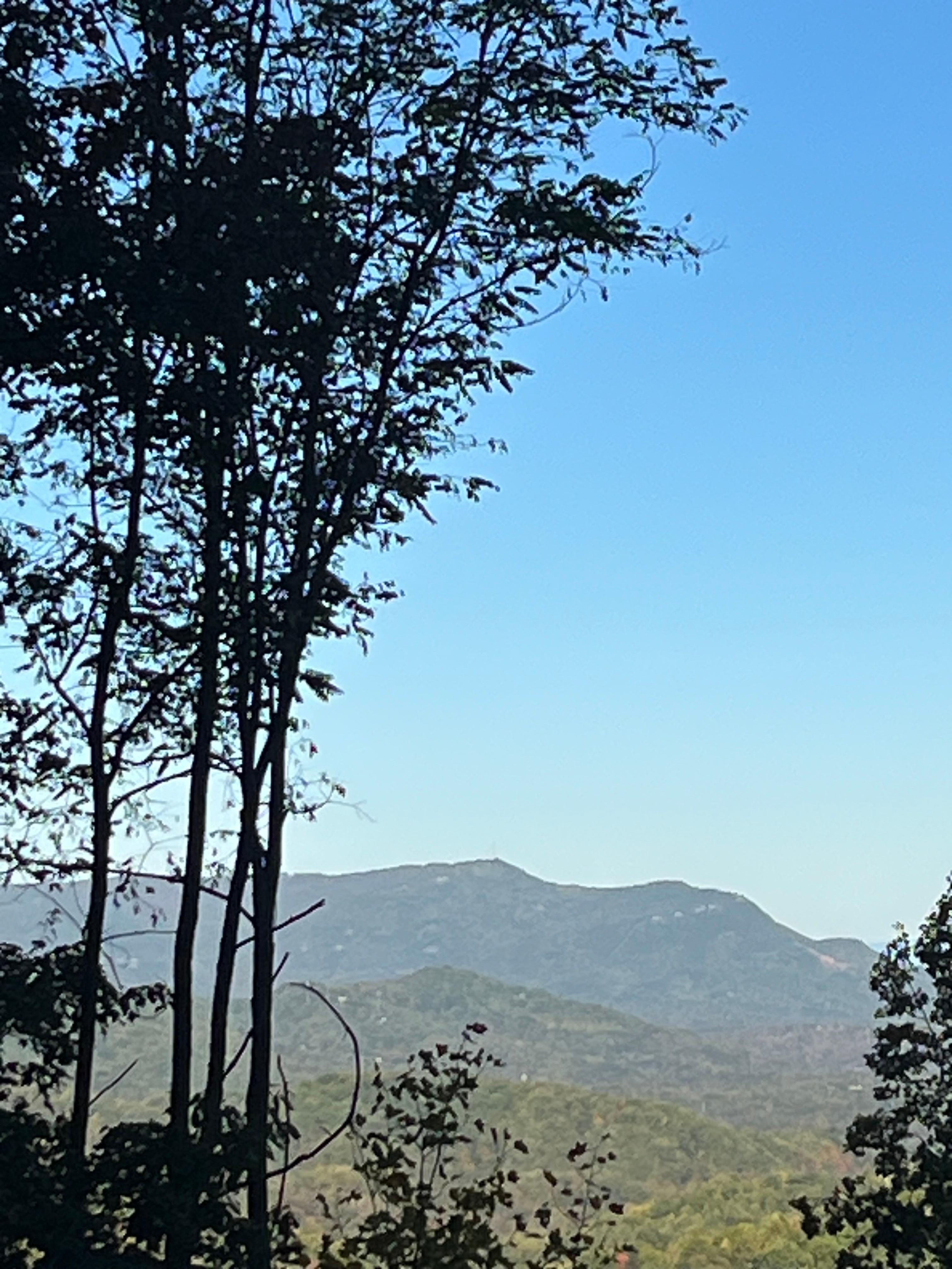 View on a walk outside cabin