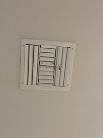 Mold on the vents