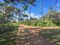 walking path along the beach