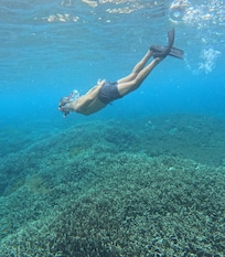 Snorkeling avec les raies Manta