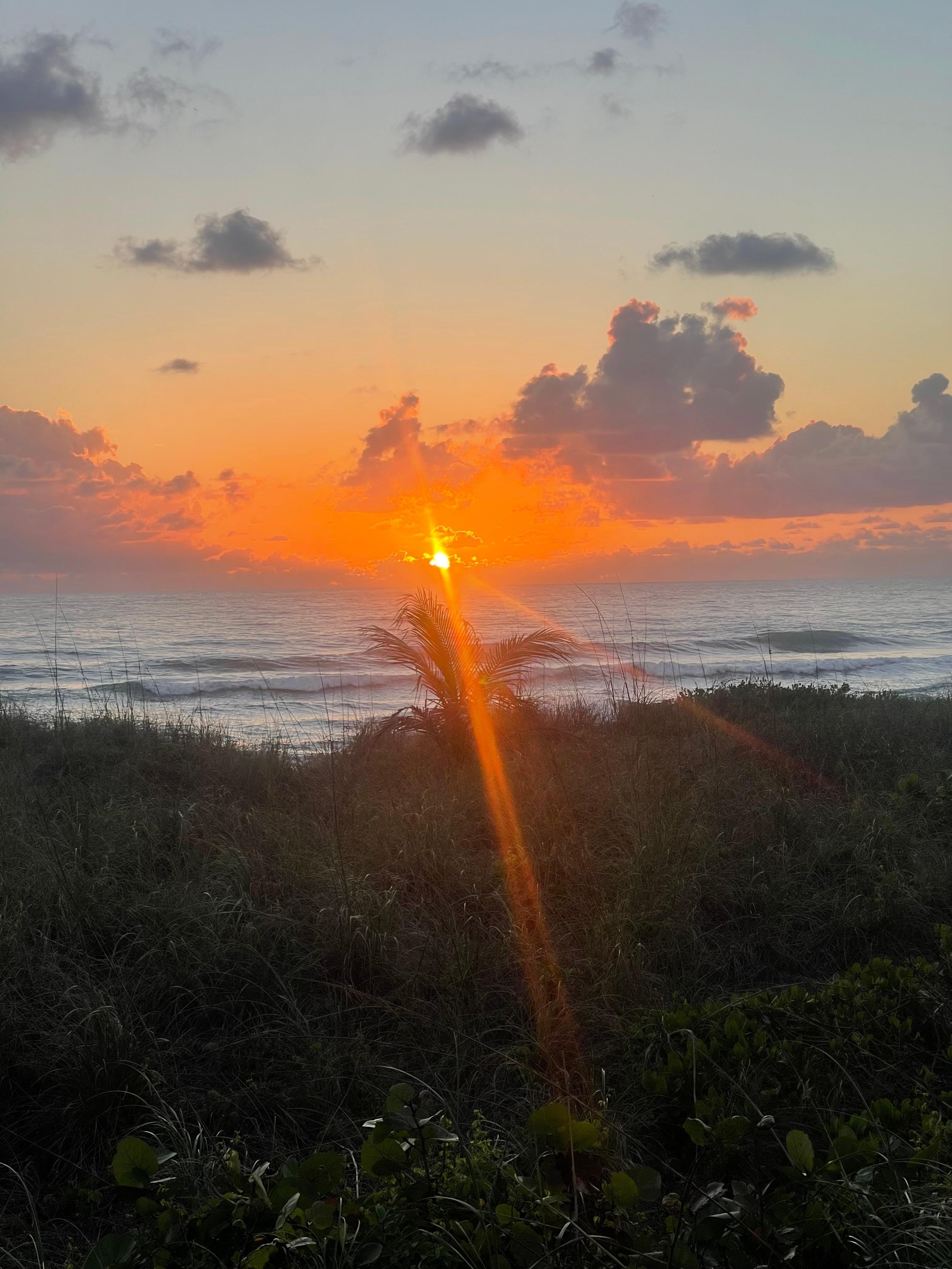 Sunrises every morning.