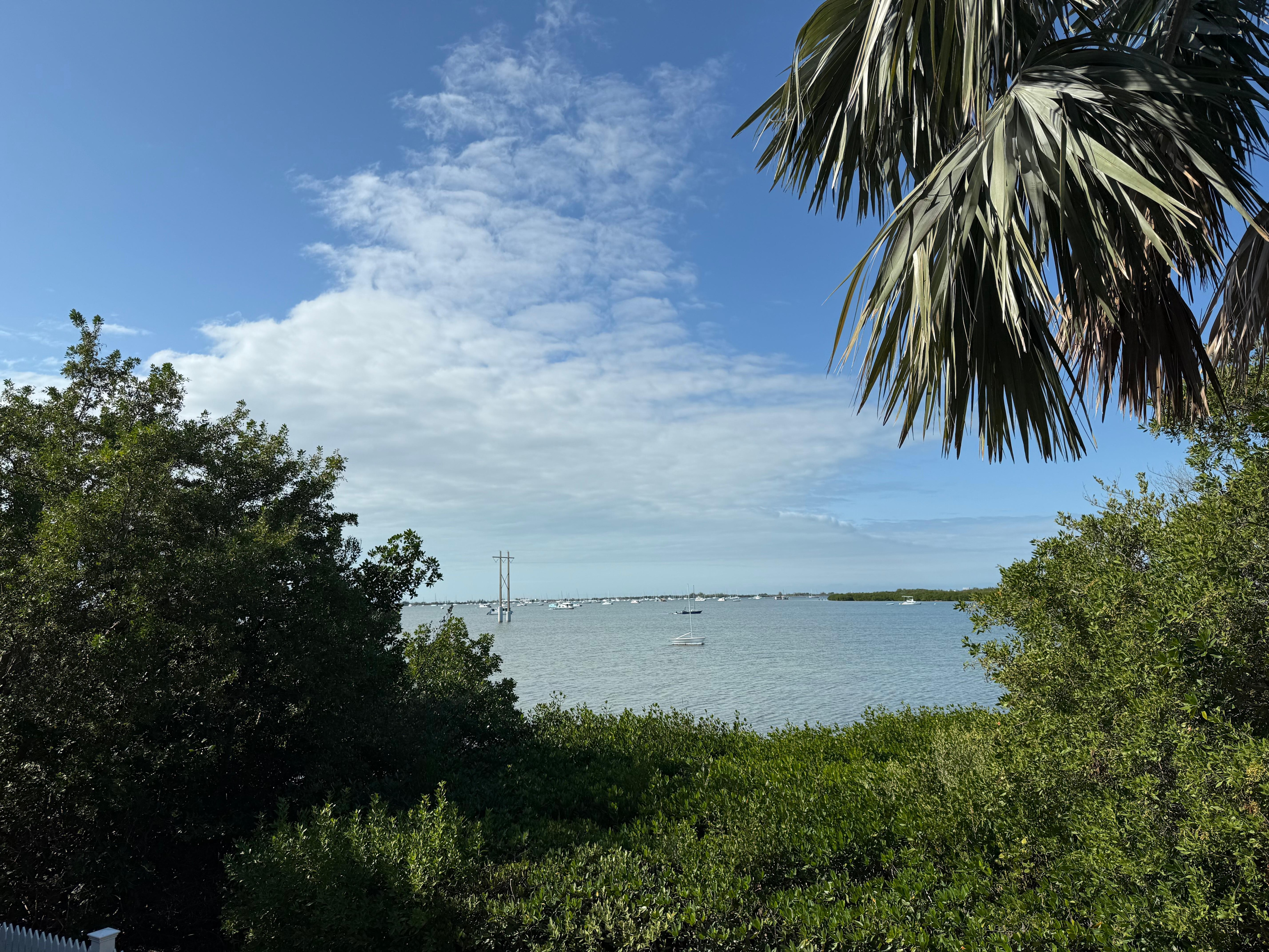 View from the back of the house. 