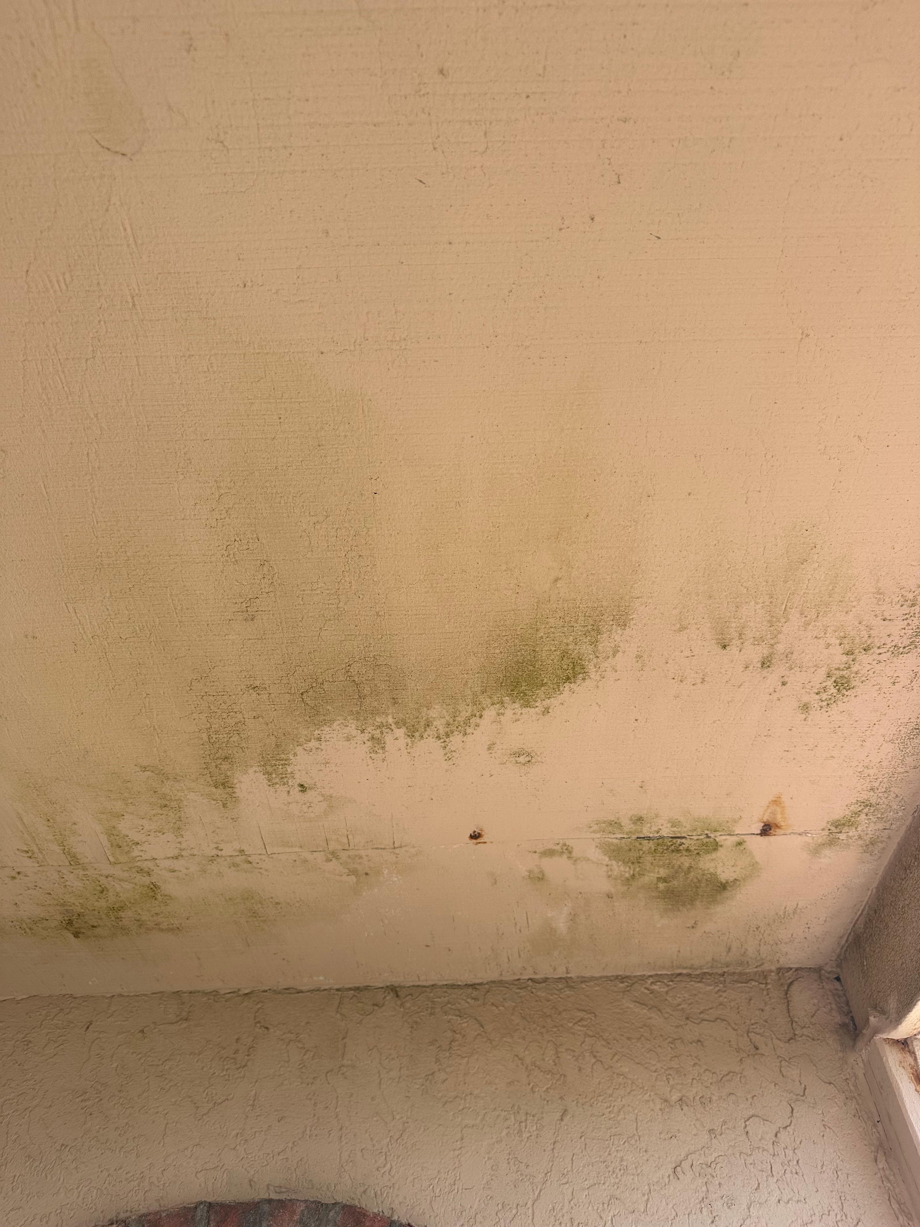 Outside patio ceiling