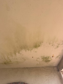 Outside patio ceiling