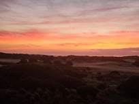 Room with a view