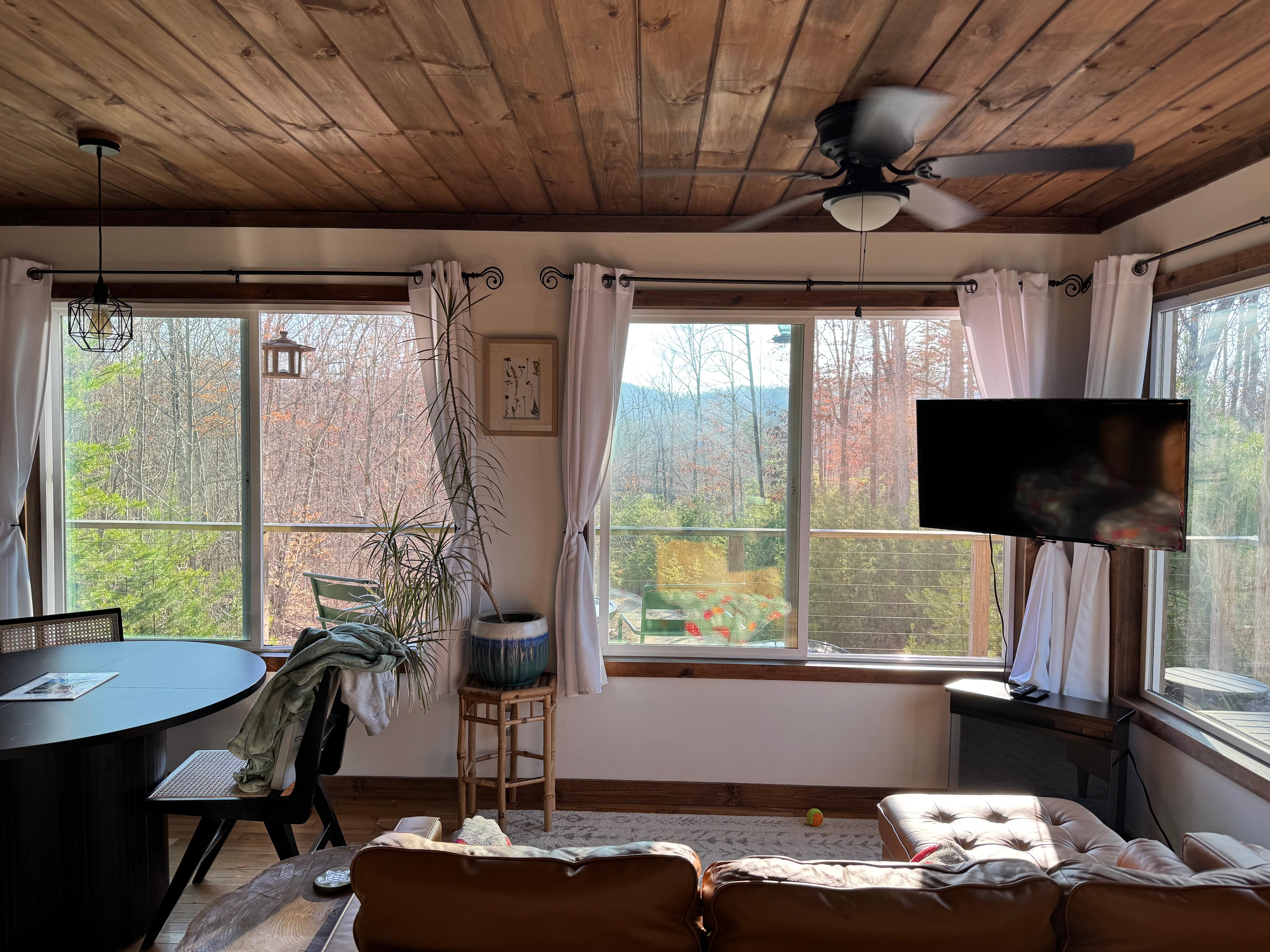 Beautiful view from huge windows