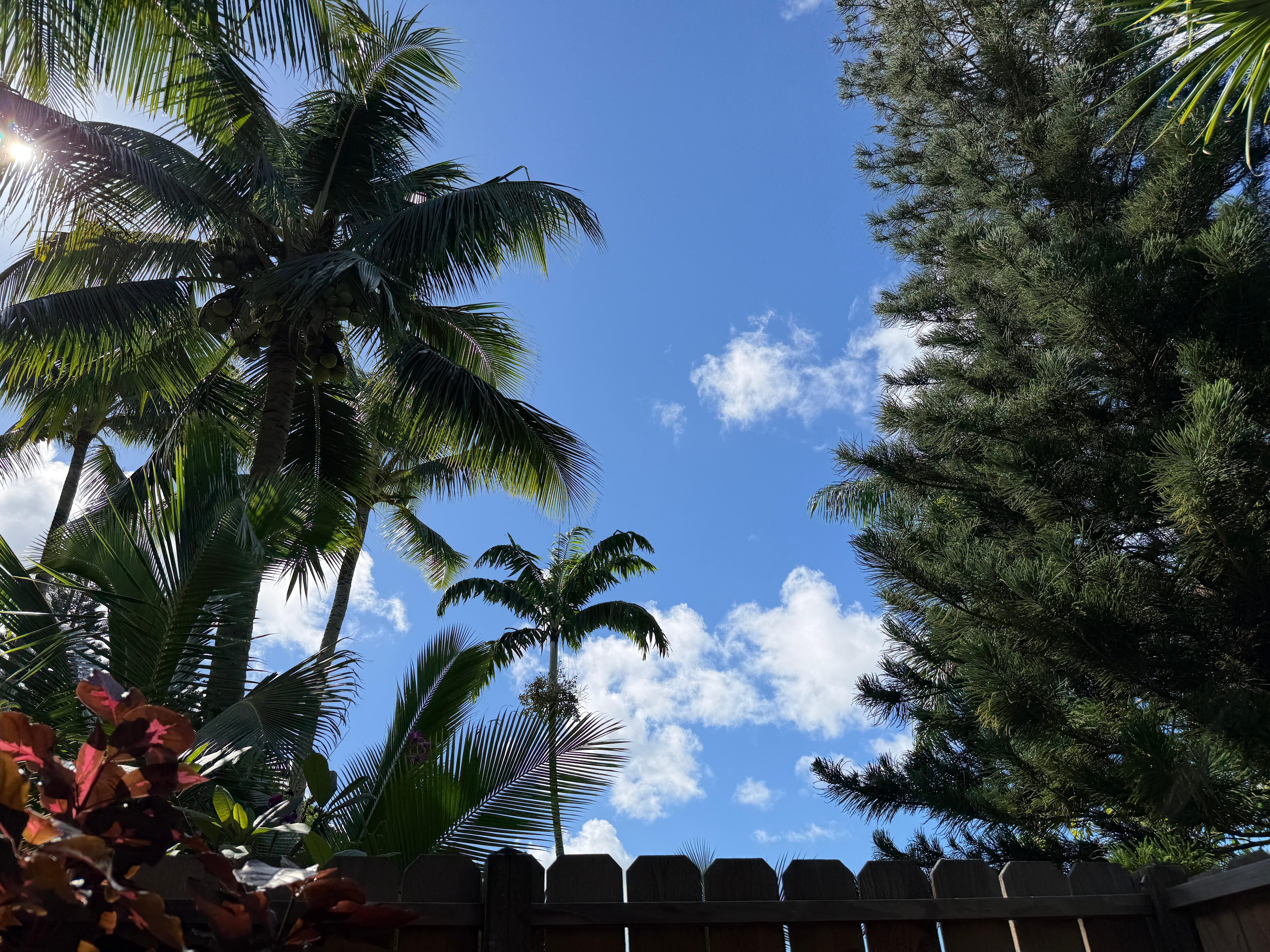 The view from the outdoor shower (even better under the stars at night). 