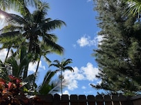 The view from the outdoor shower (even better under the stars at night).