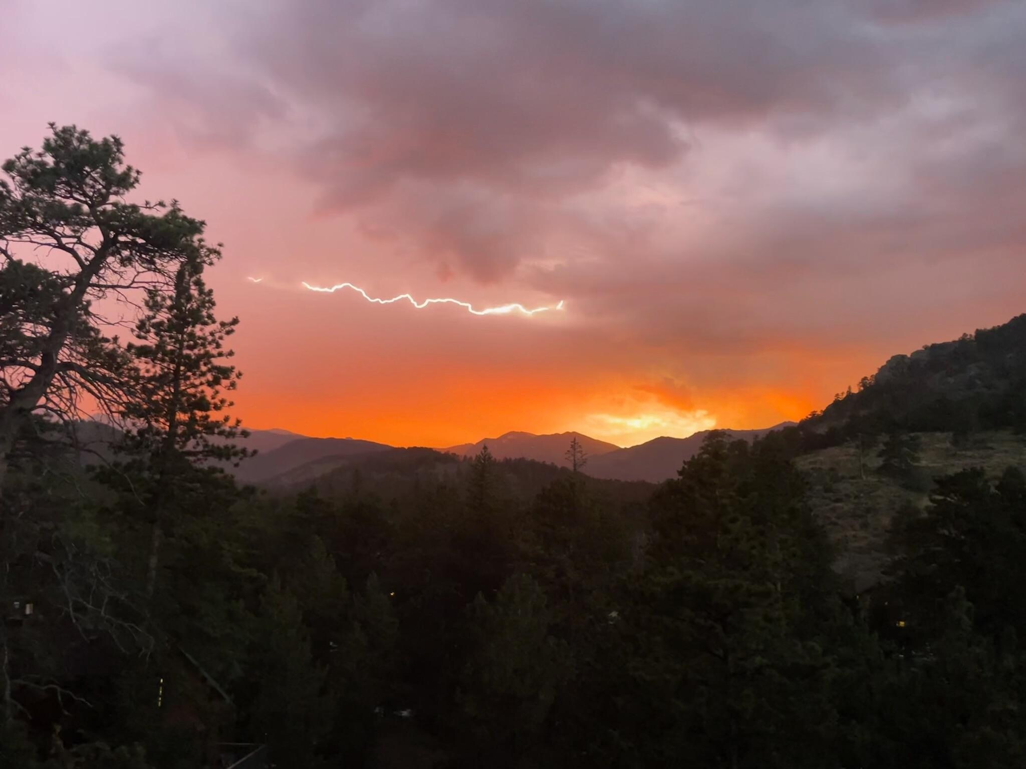 View from the patio. 