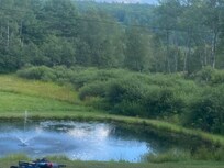 Pond