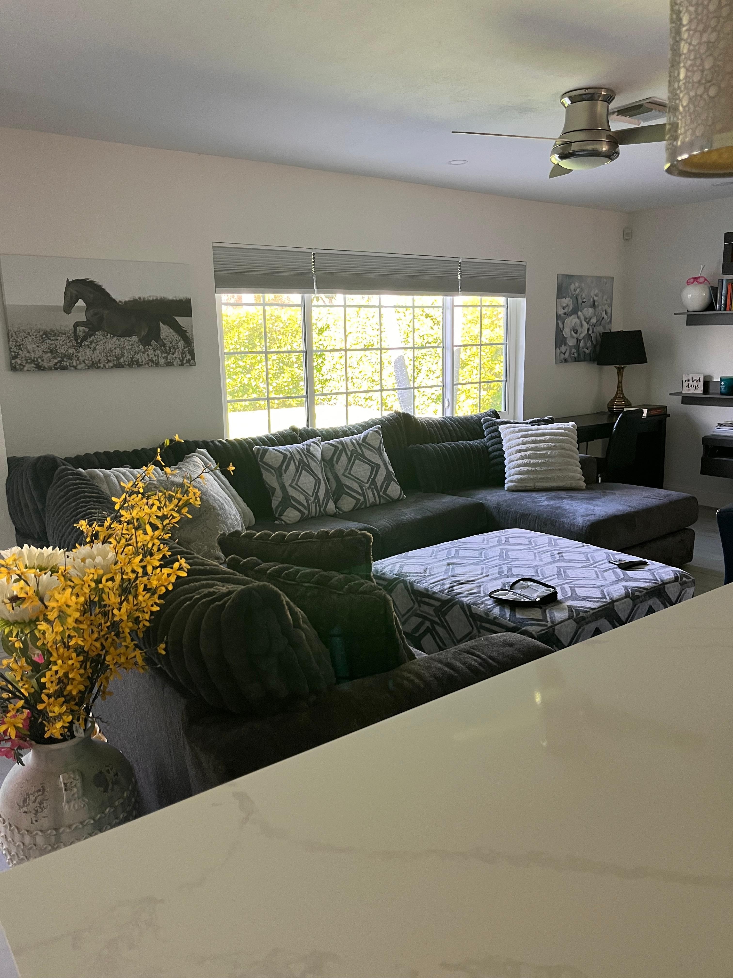 Living room with front facing windows.