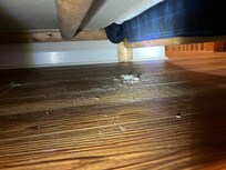 Dust under bed.