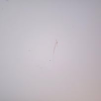 Dont ever atay here... dont ever stay here