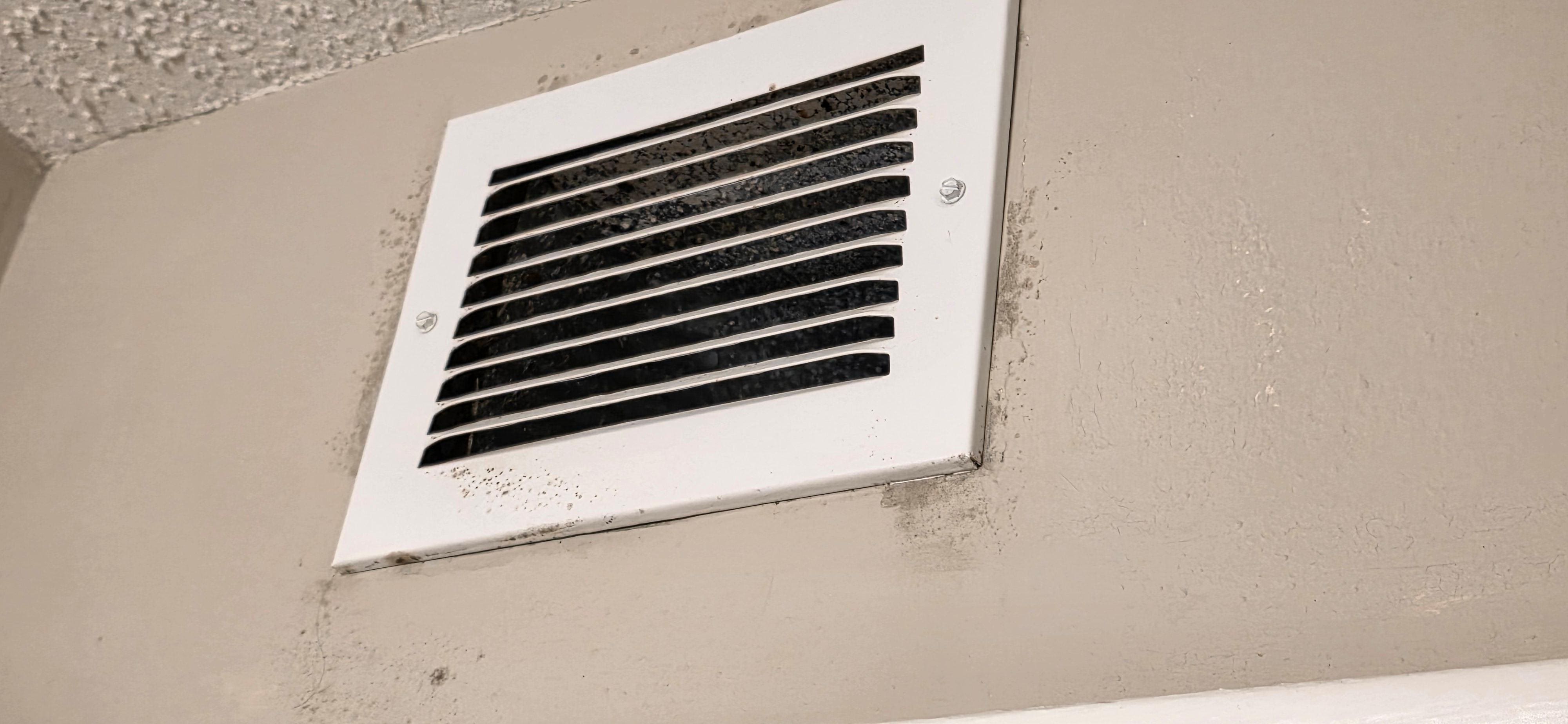 Mold on airvents