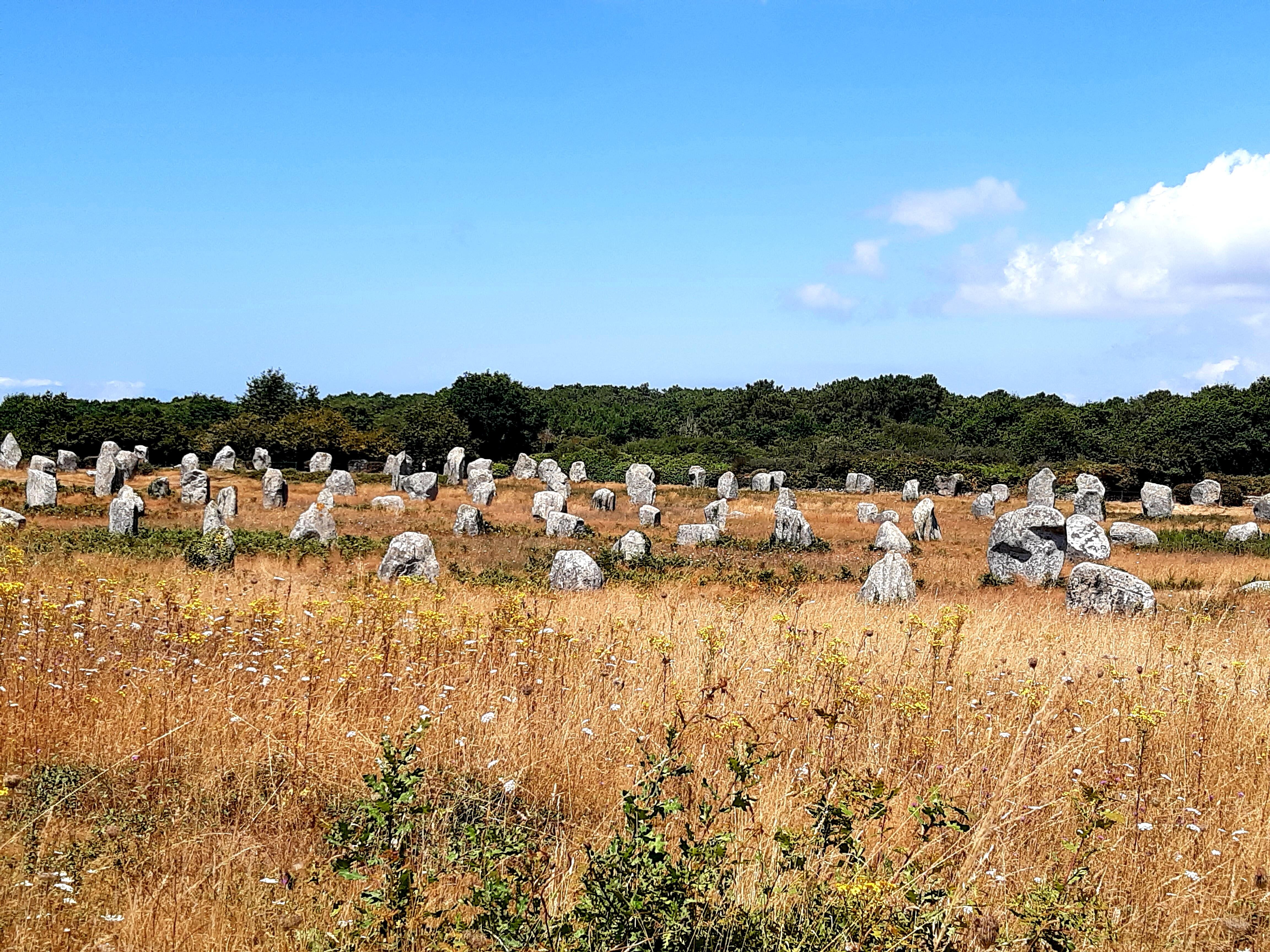 Tausende Menhire 