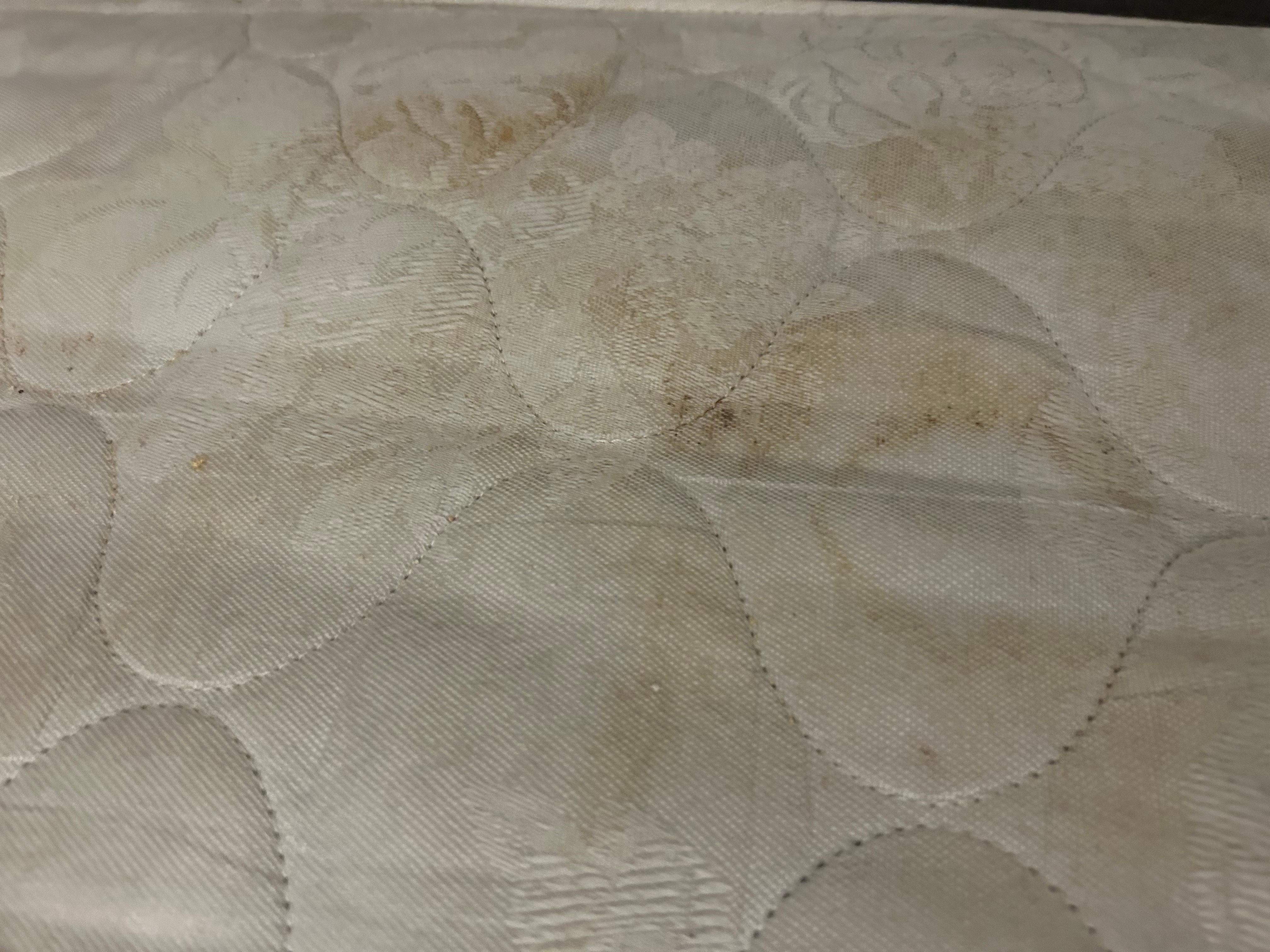 Urine and blood stains all over