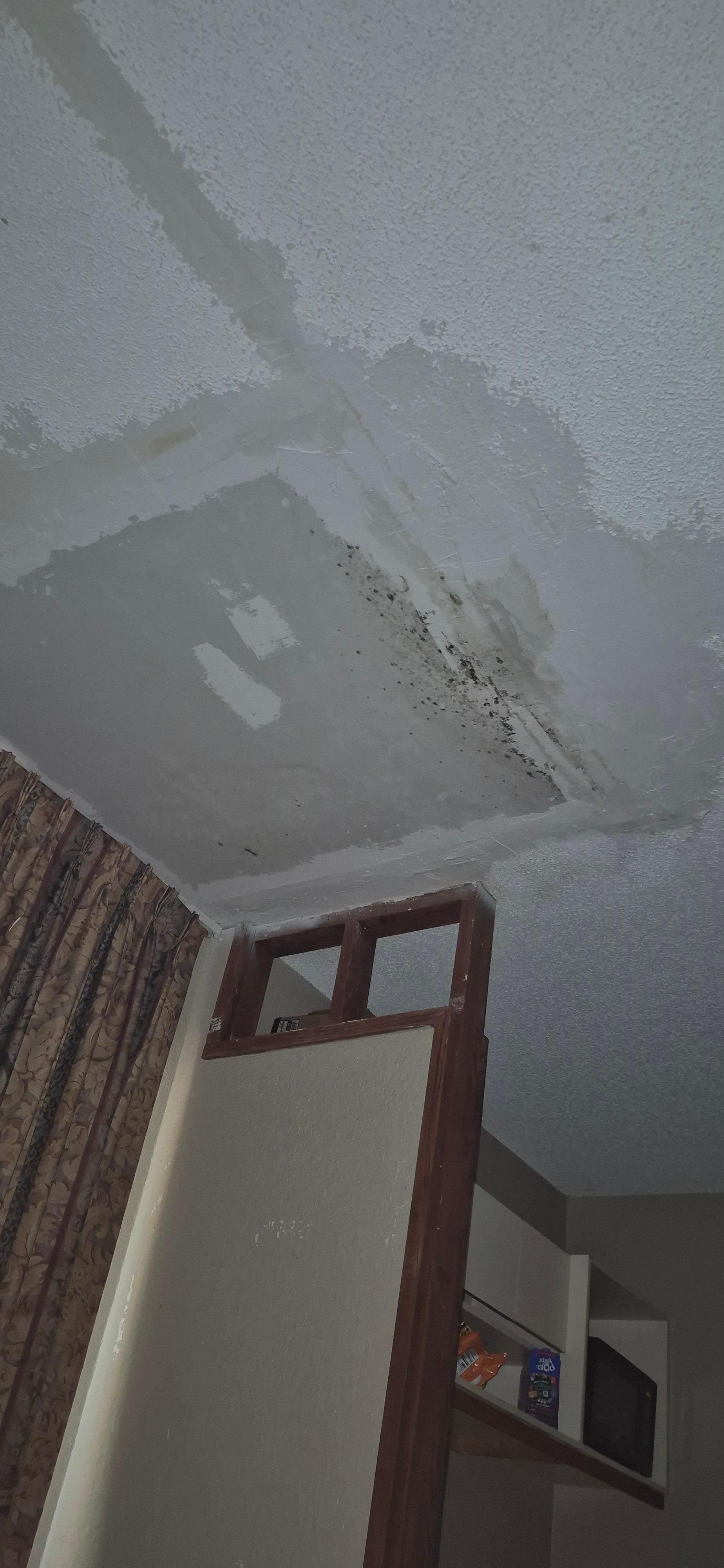 Mold on ceiling 
