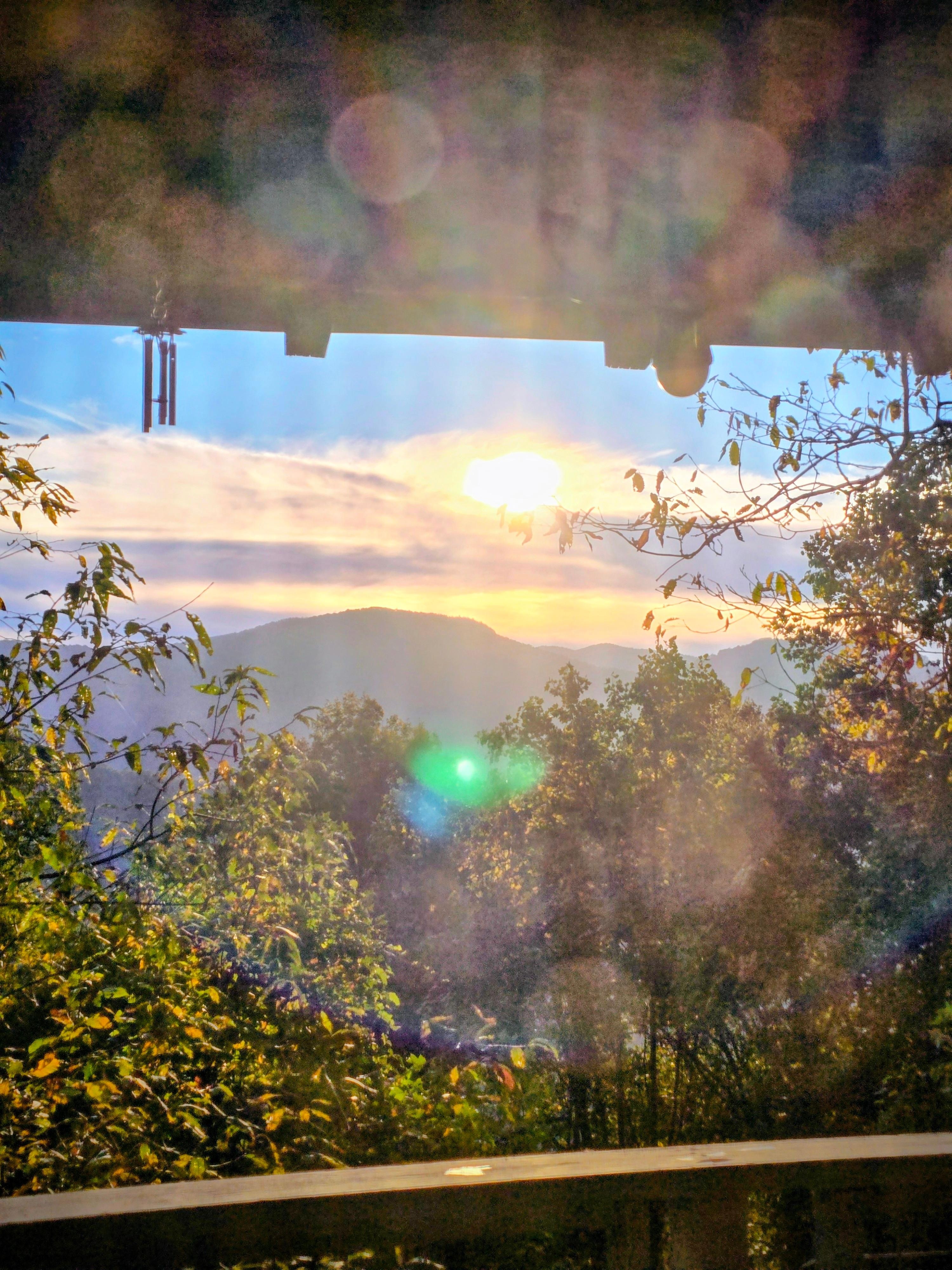 Through the back door screen.