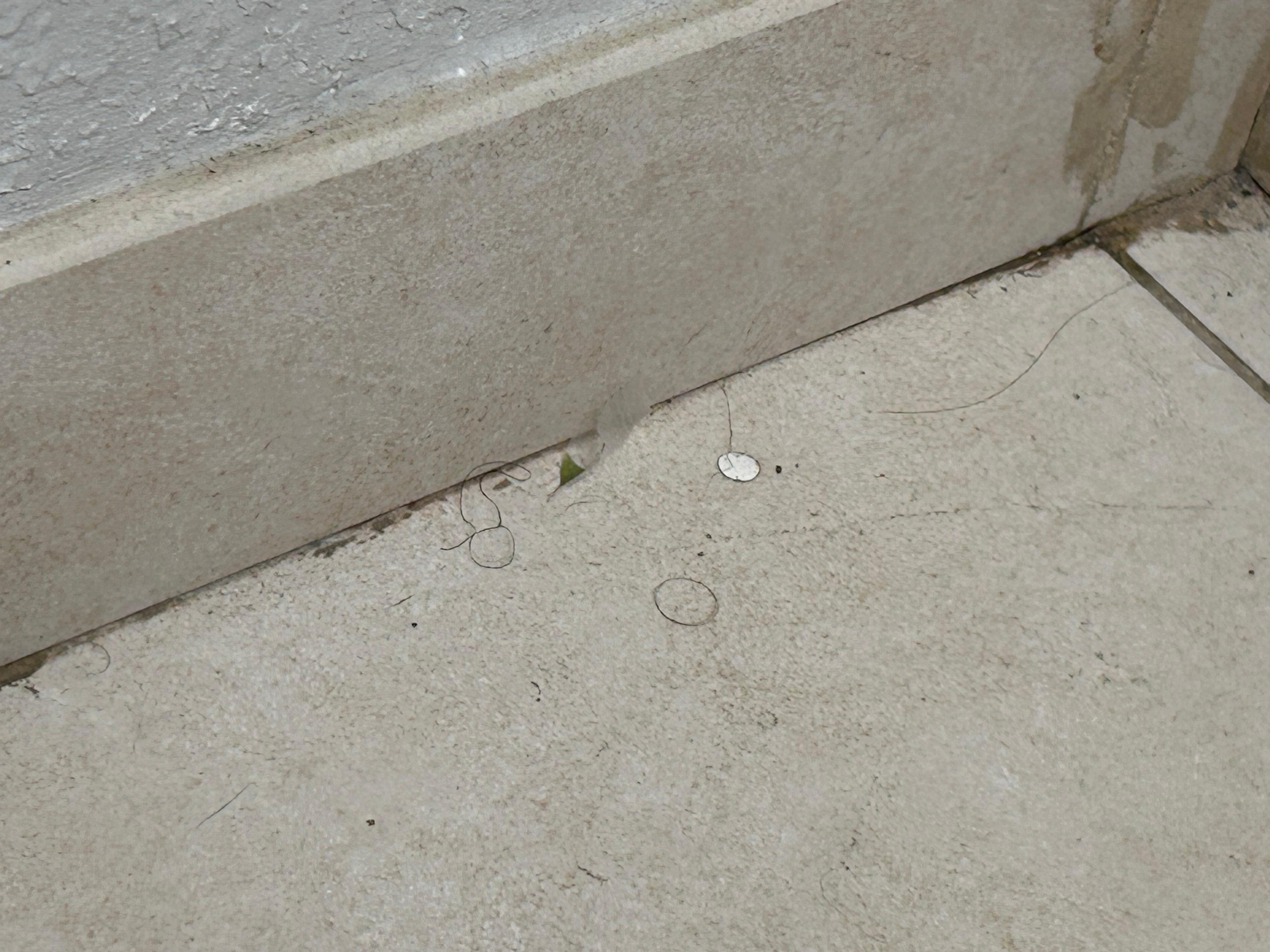 Hair in restroom when checked in