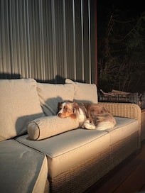 Very content by the fire.