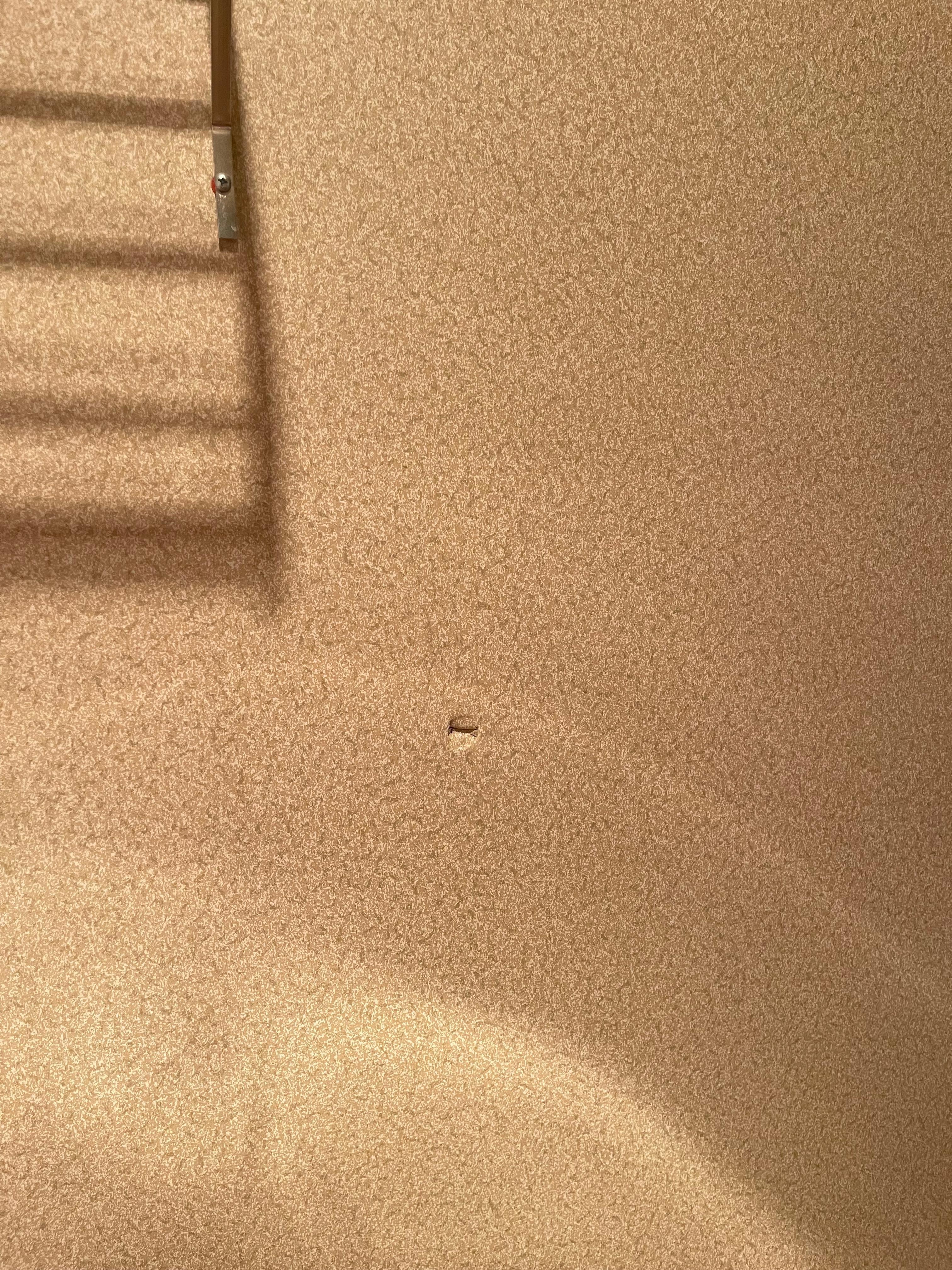 Hole in wall of bathroom from door slamming against wall 