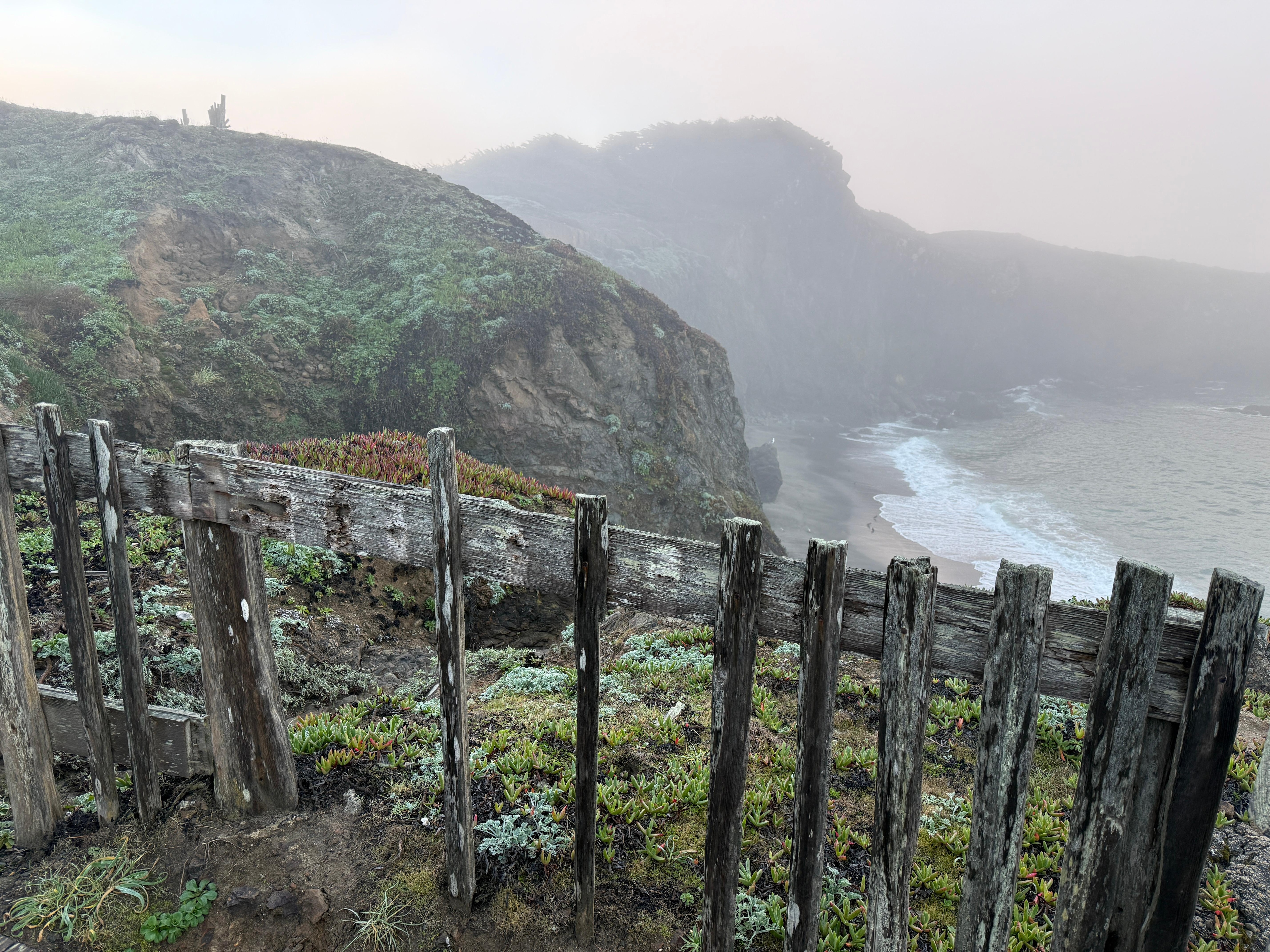 Morning mist coastal path