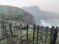 Morning mist coastal path