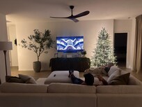 Enjoying Christmas movies surrounded by beautiful Christmas trees 🌲