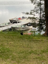 This is the dock where the boats are moored.