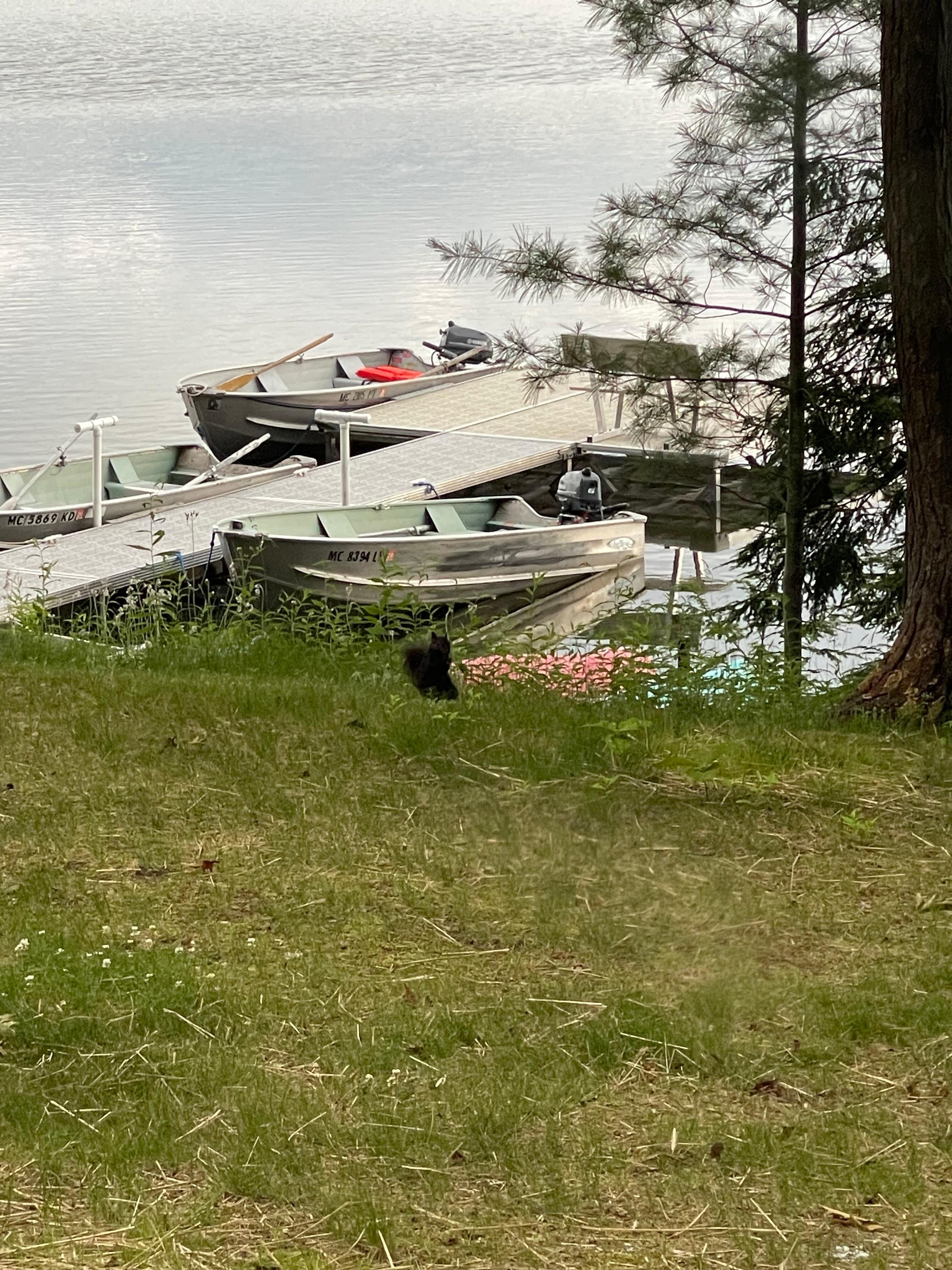 This is the dock where the boats are moored.