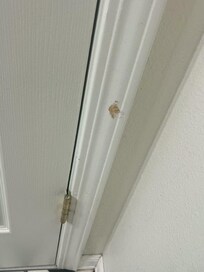 Clumps of an unknown brown substance mixed with dark bloodstains