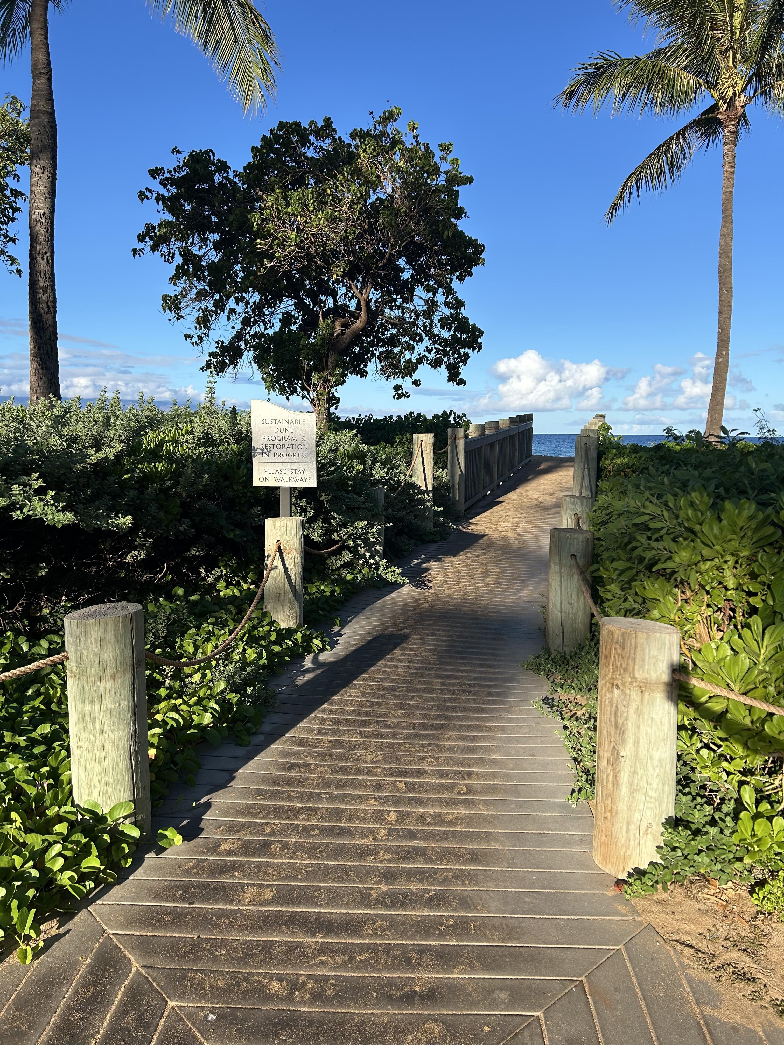 One of mulitple pathways to the beach 
