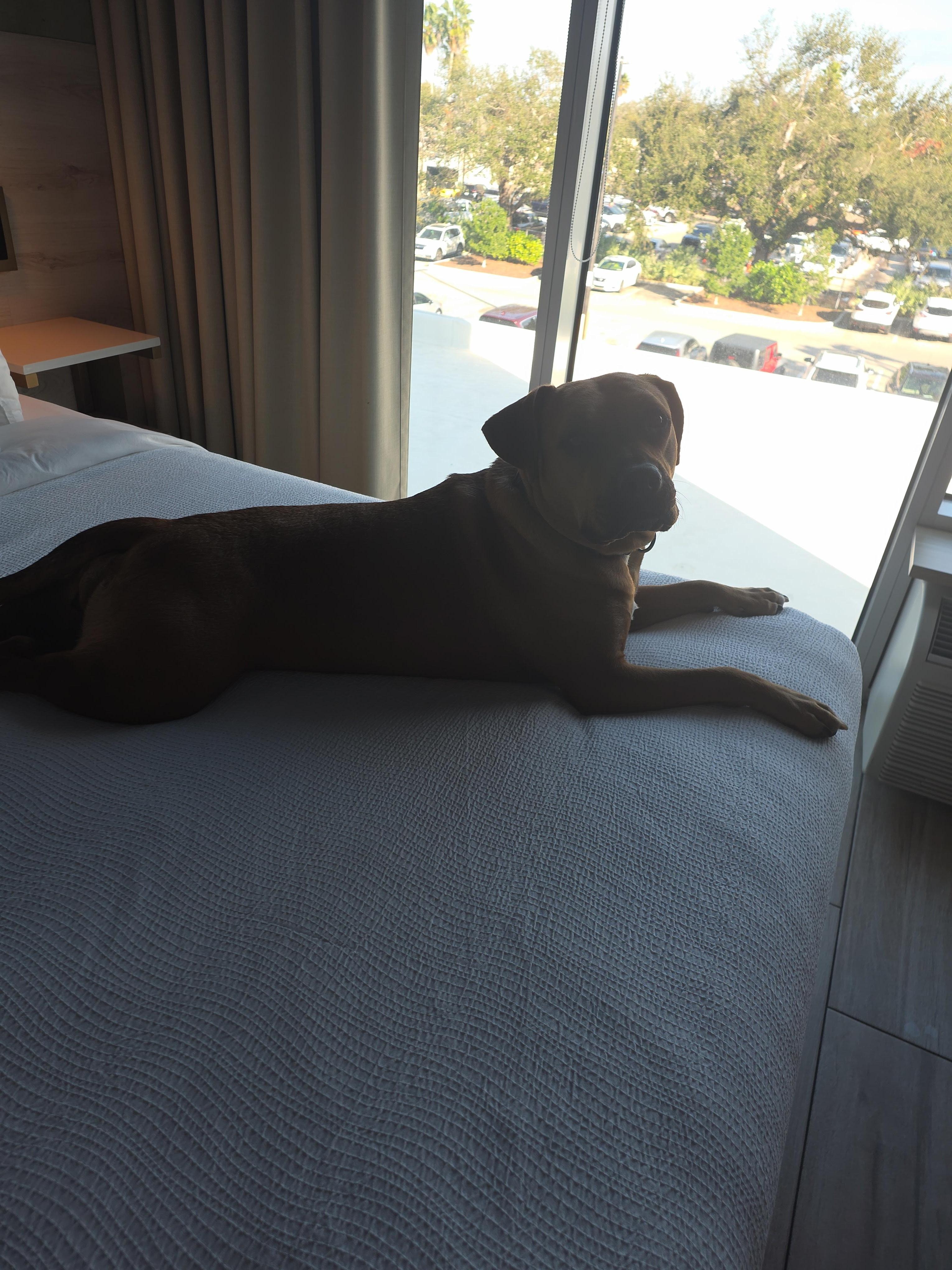 At total peace ✌️ 