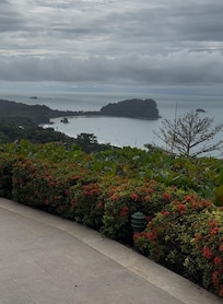 View from a restaurantâs terrace