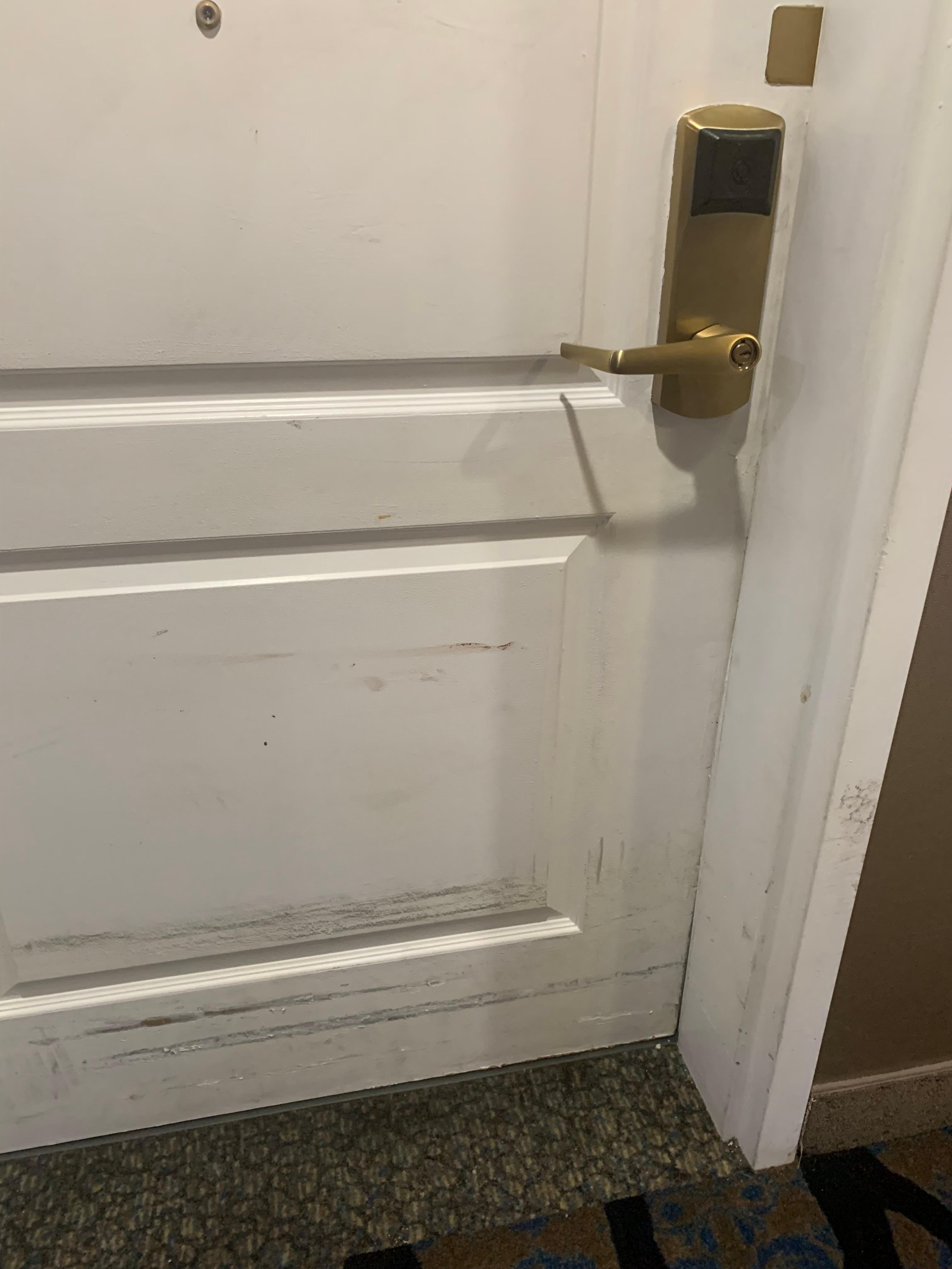 Our suite door