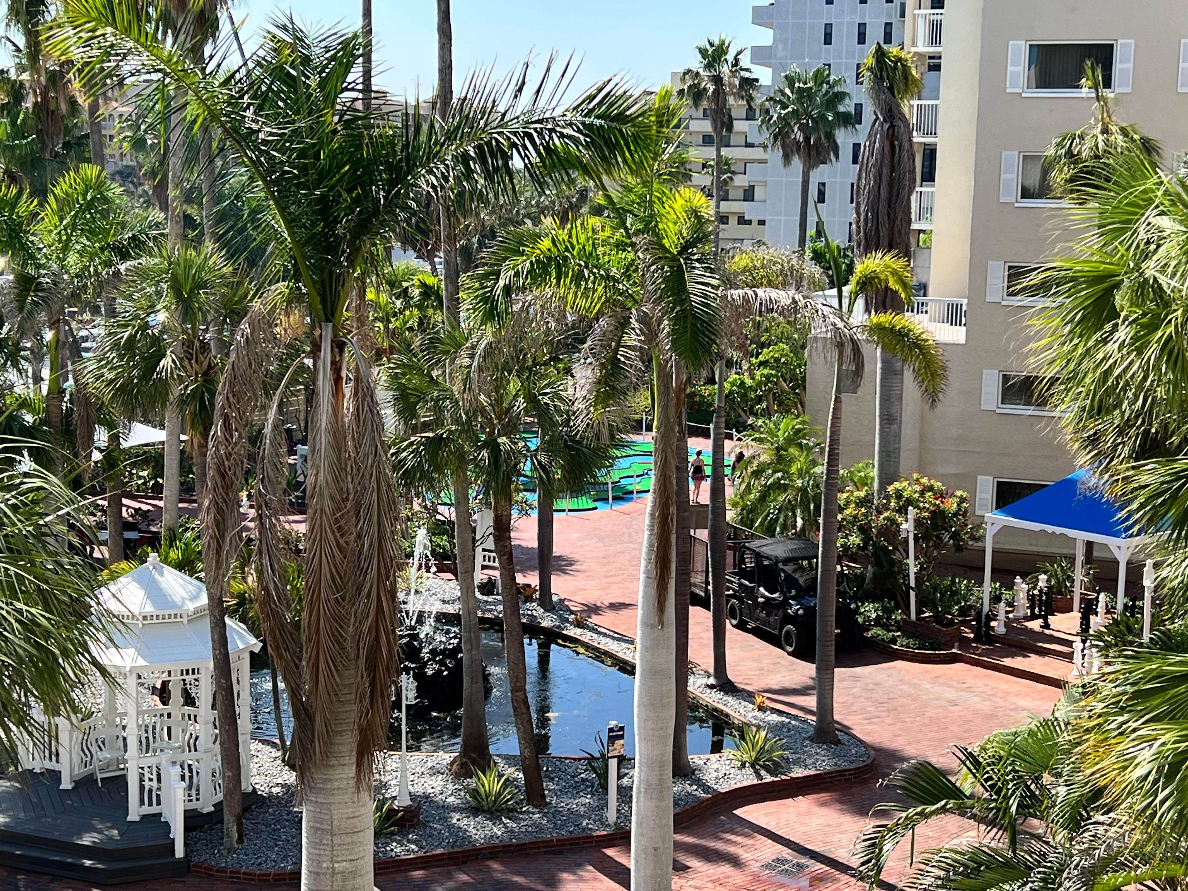 View from my room