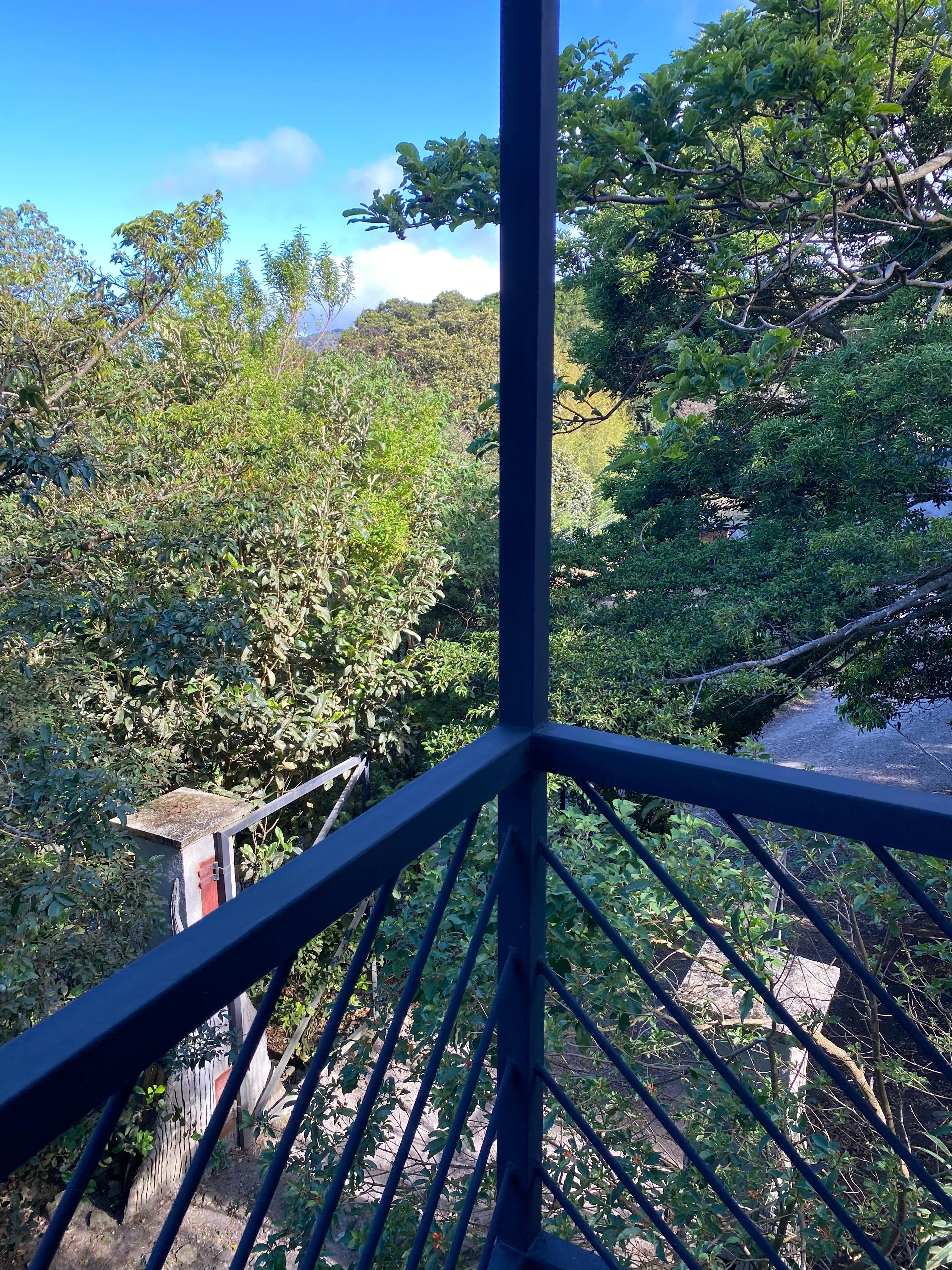 Bird watching outside your bedroom window:)