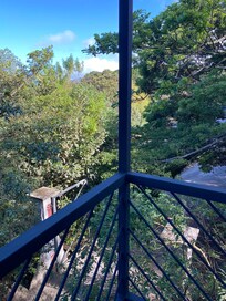Bird watching outside your bedroom window:)