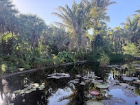 Botanical gardens