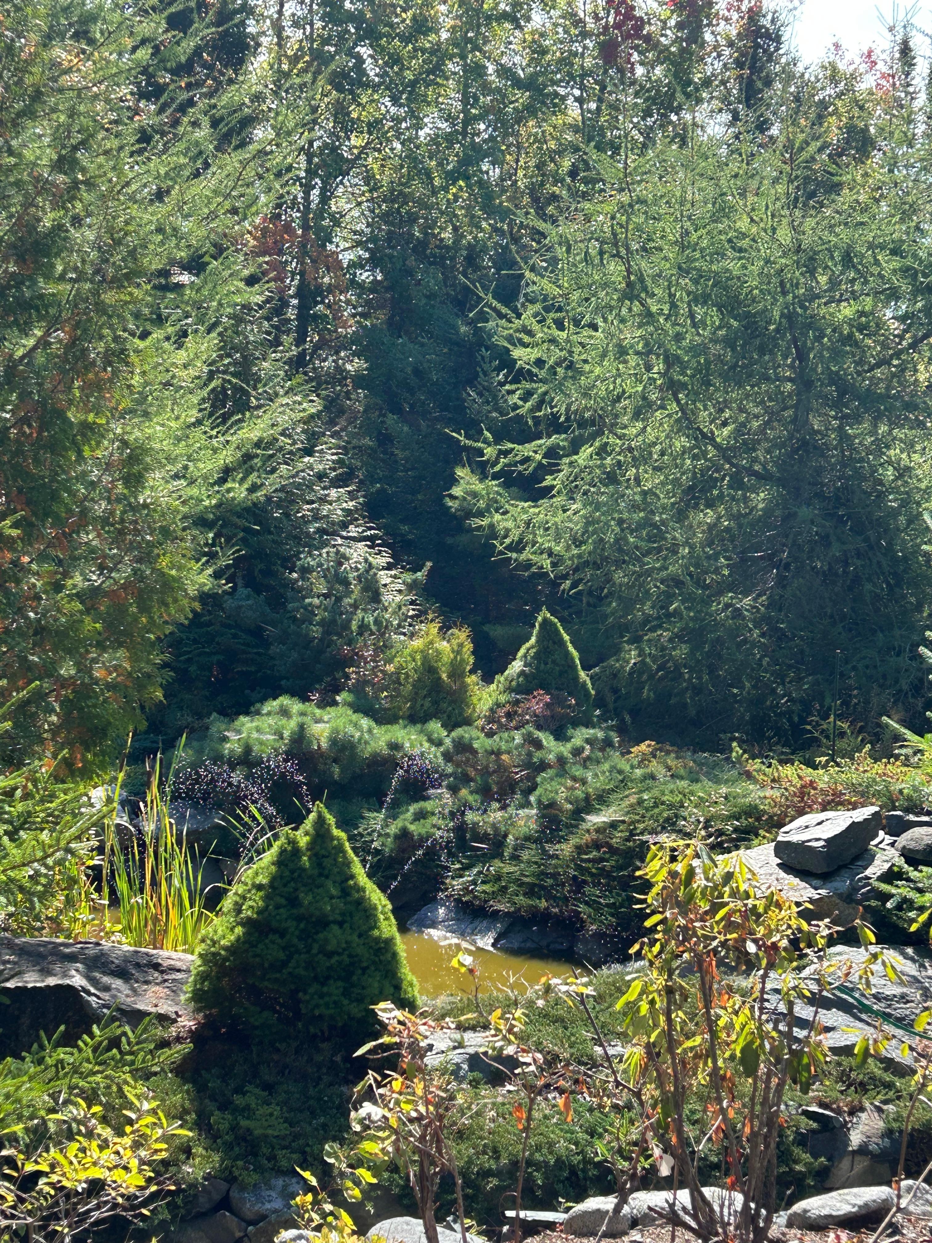 Fountain just off deck
