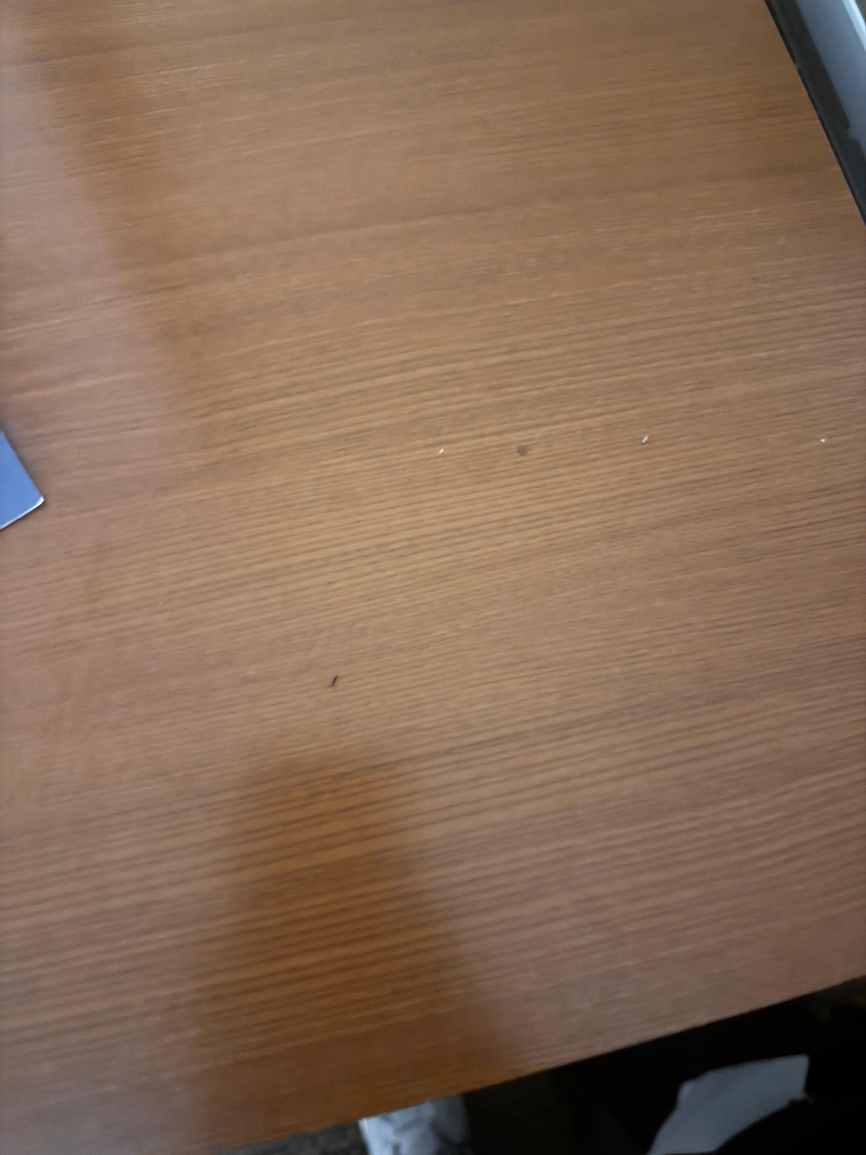 Ants on the table.
