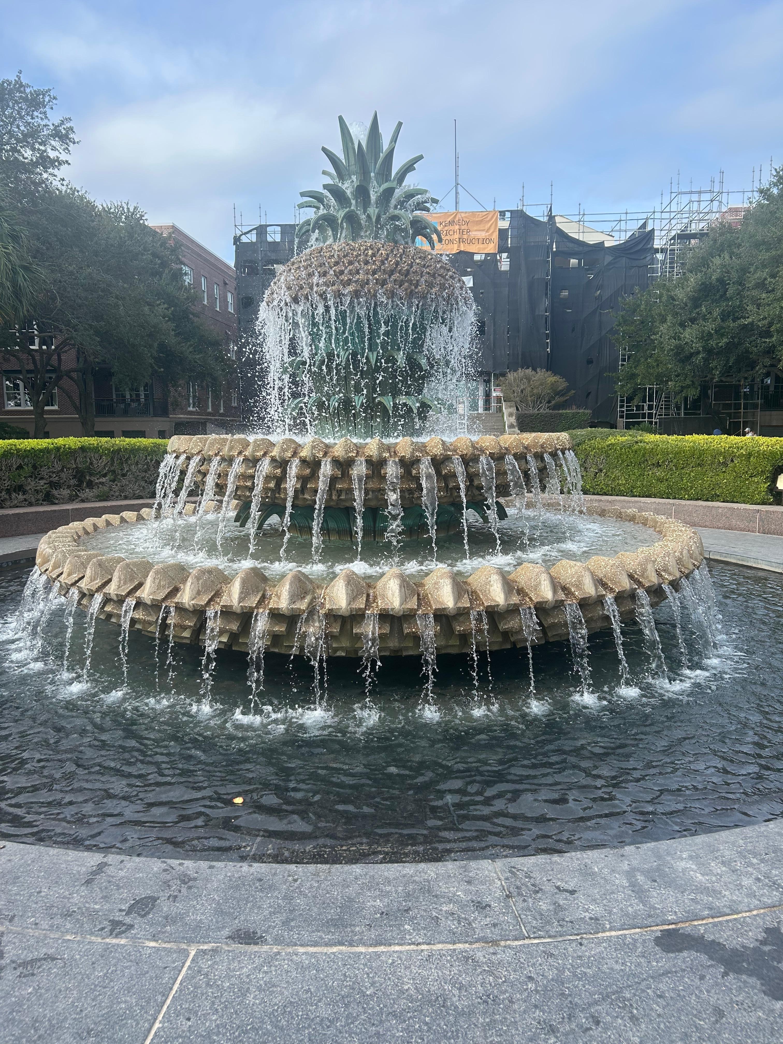 Pineapple fountain 