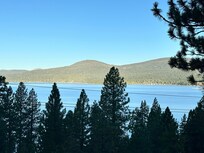Morning view