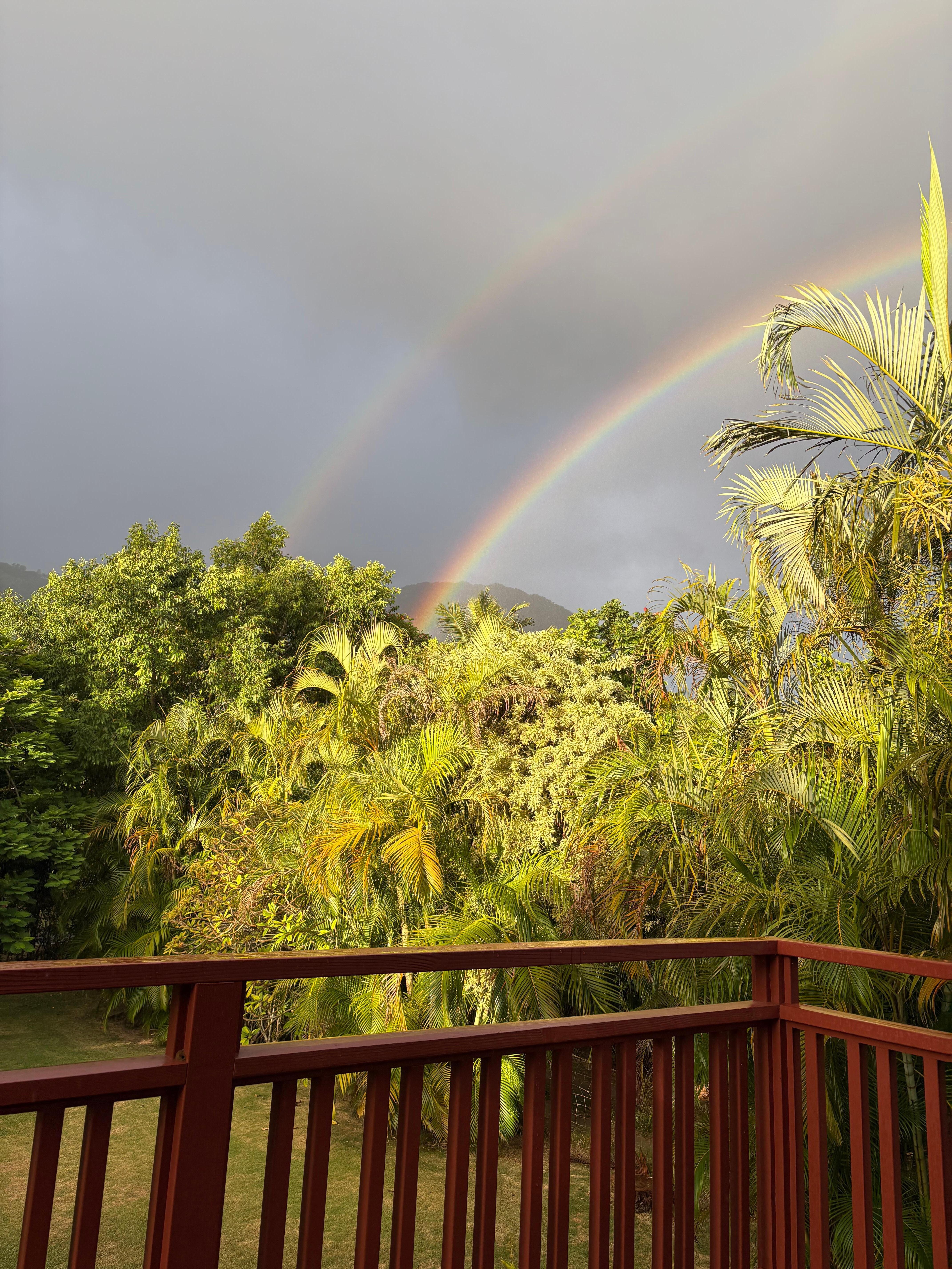 The view from the deck
