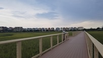 Boardwalk
