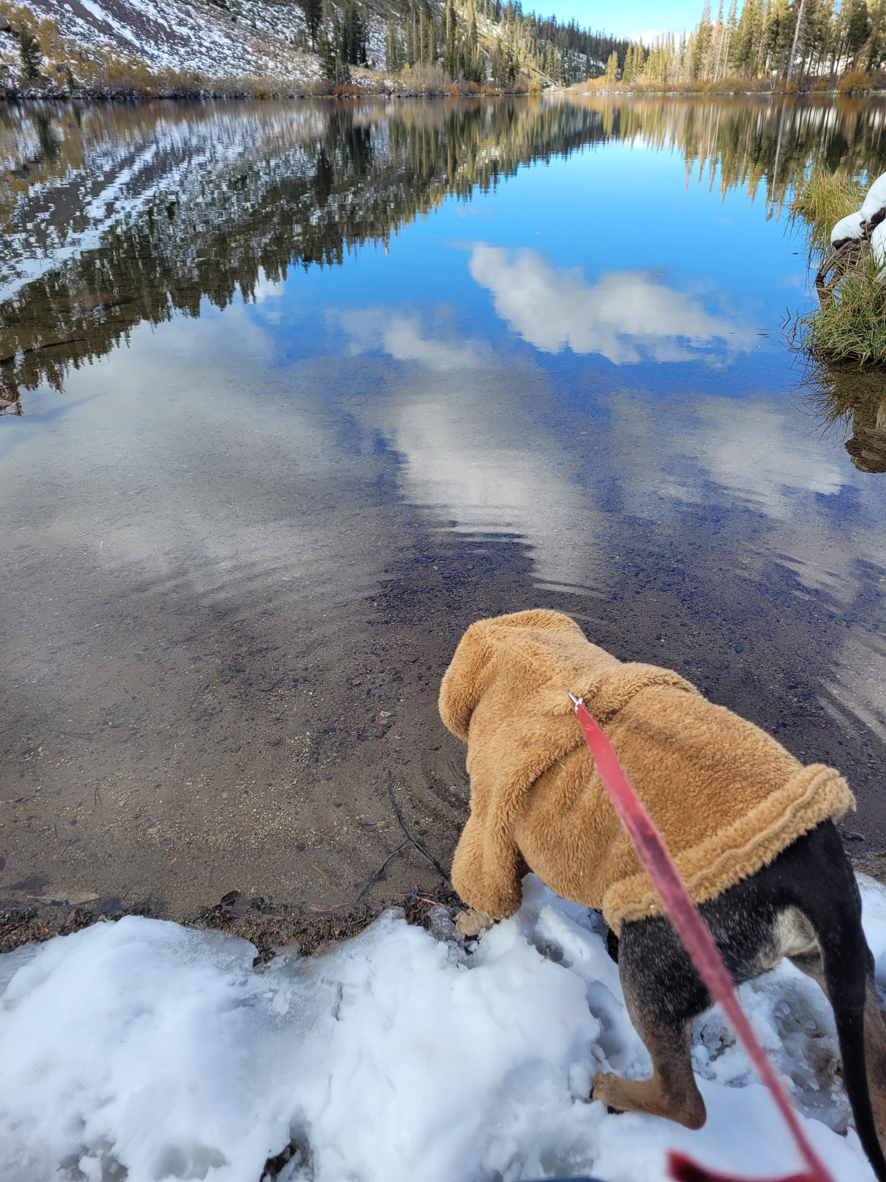 Lake was like glass.