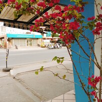 The view to the streets. Supermarket and pharmacy right next door. Easy walking to town square.