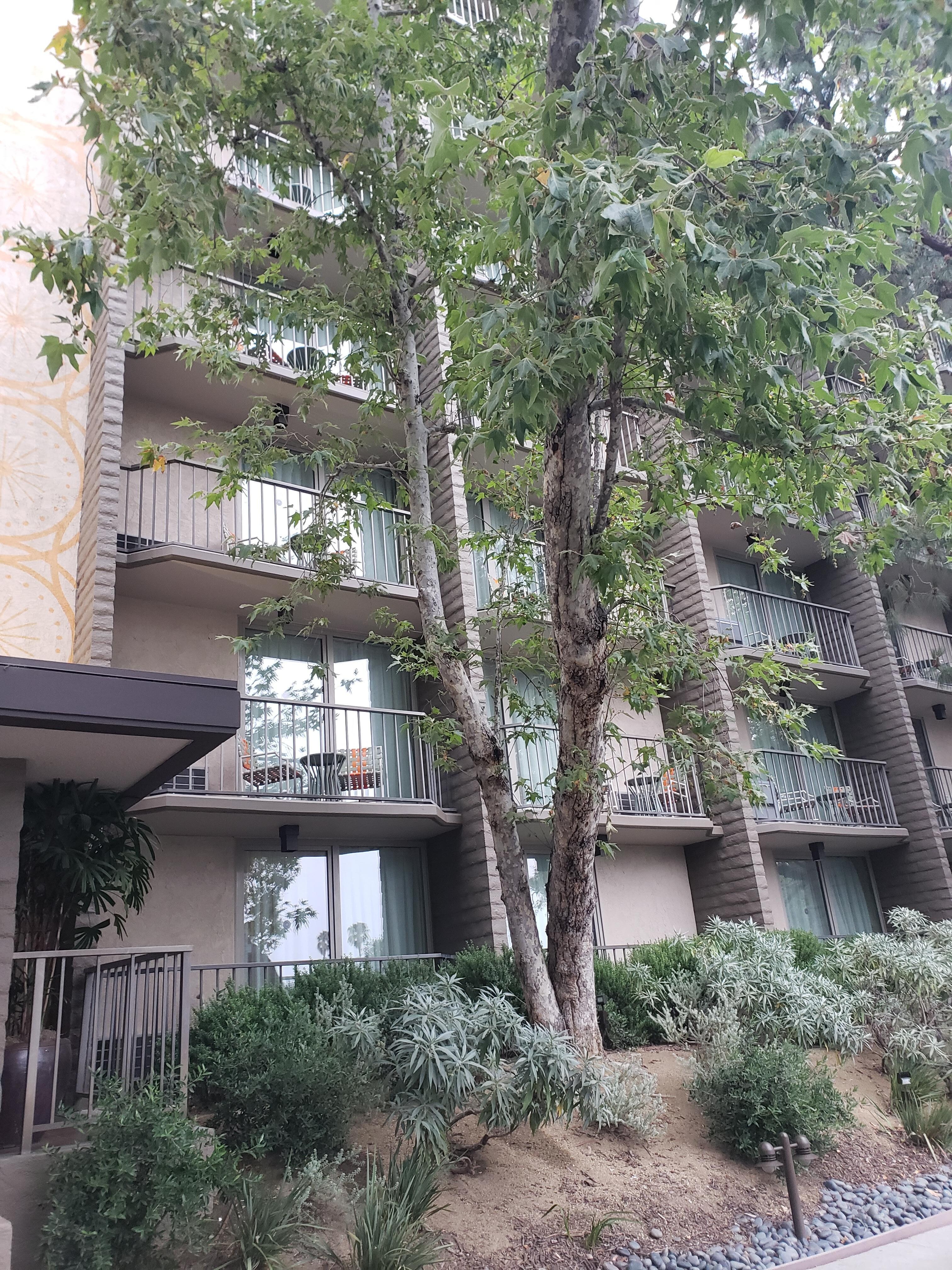 Quiet, secluded, x3 high-rise units.