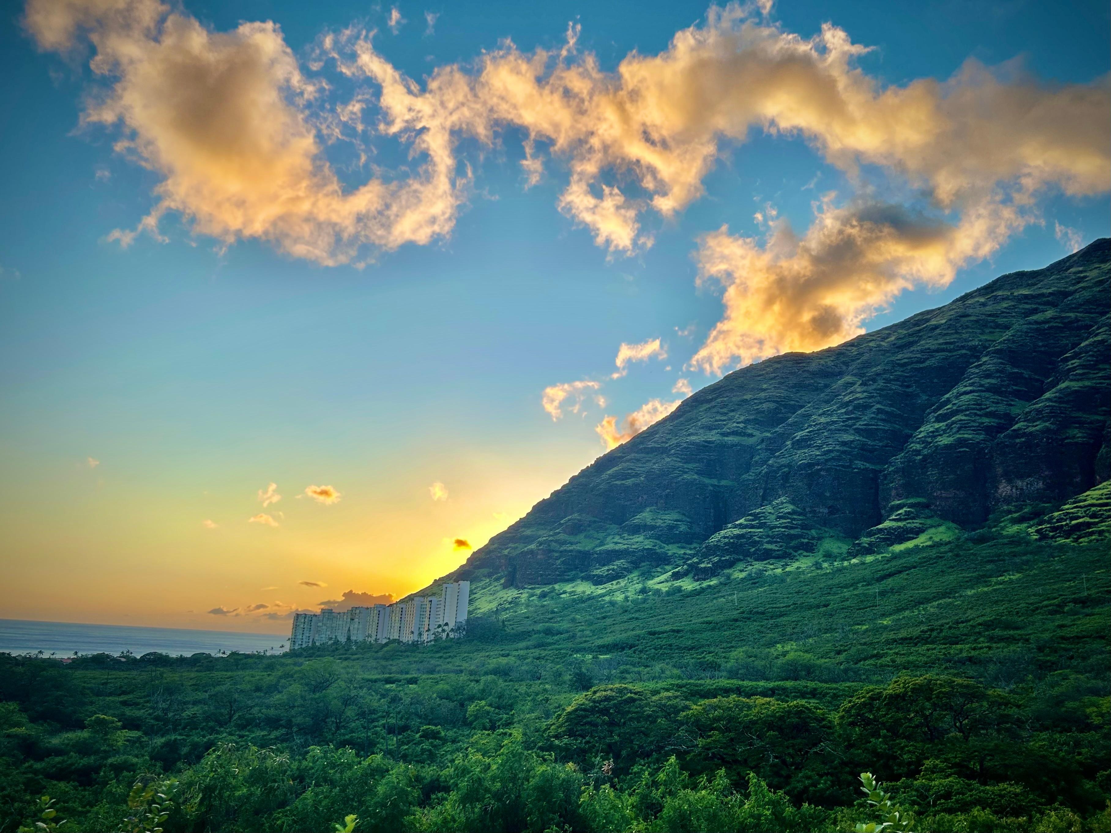 View from the back of the house