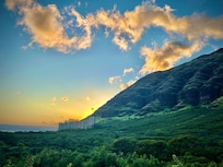 View from the back of the house